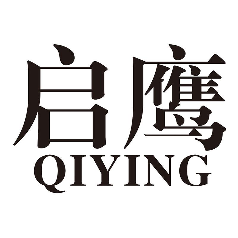启鹰