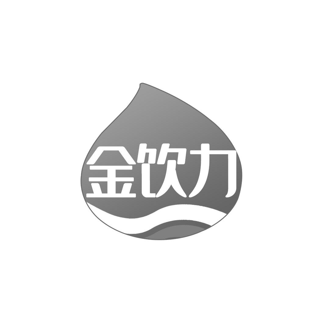 金饮力