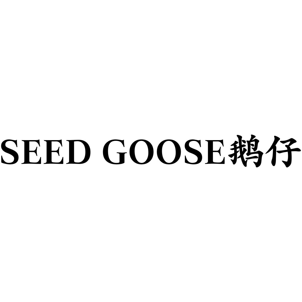SEED GOOSE鹅仔