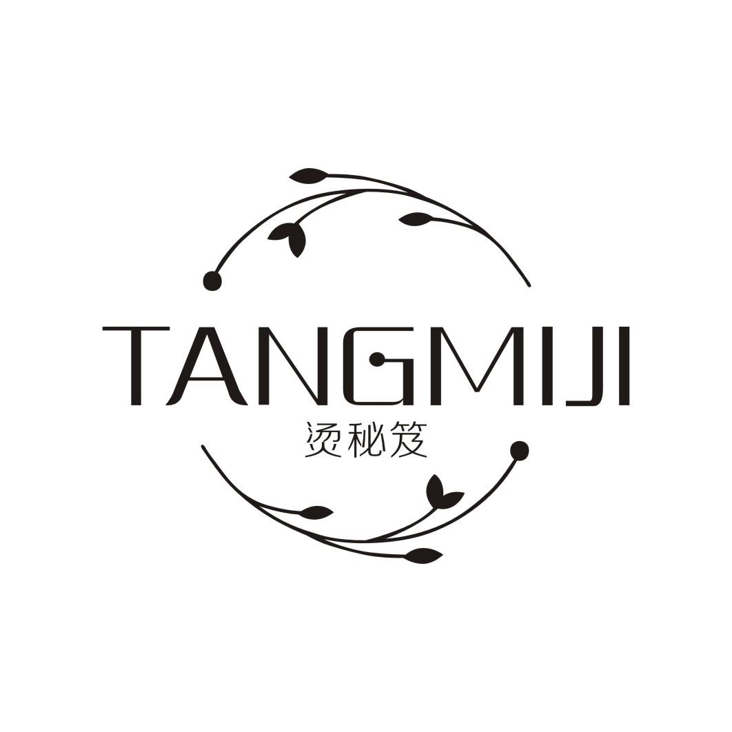 烫秘笈TANGMIJI