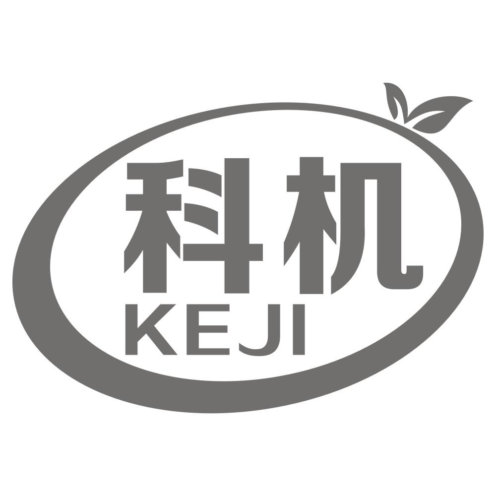 科机