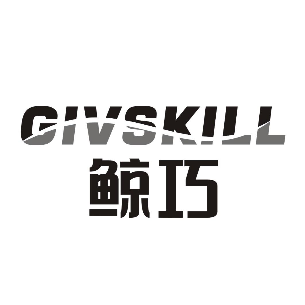 鲸巧GIVSKILL