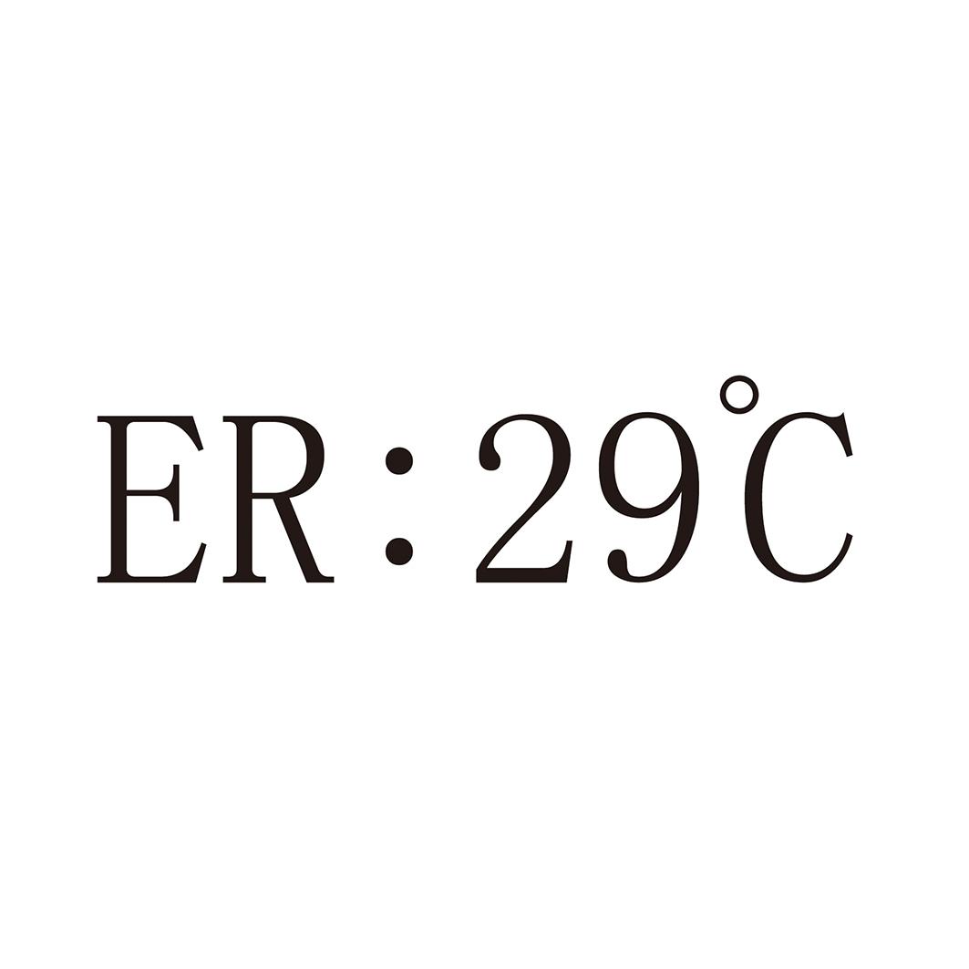 ER：29°C
