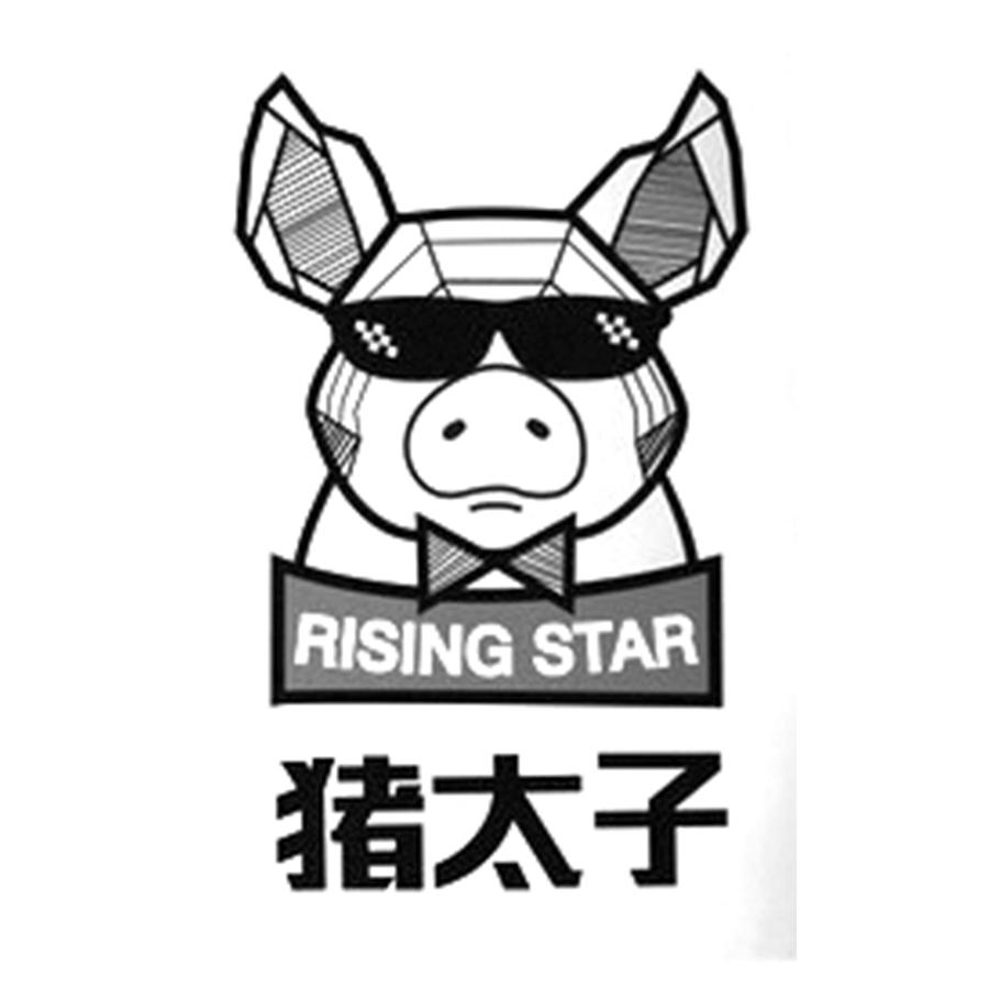 猪太子 RISING STAR