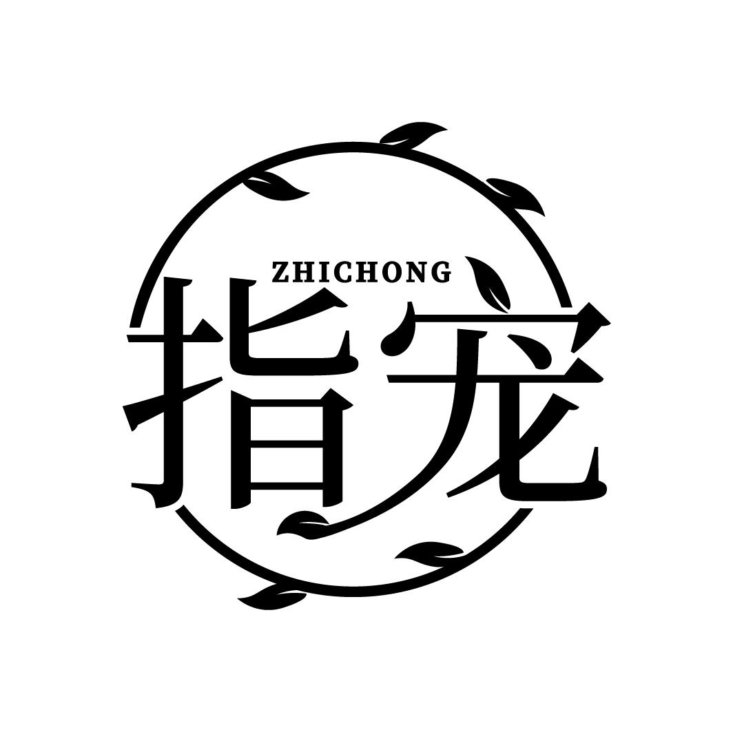指宠
ZHICHONG
ZHICHONG