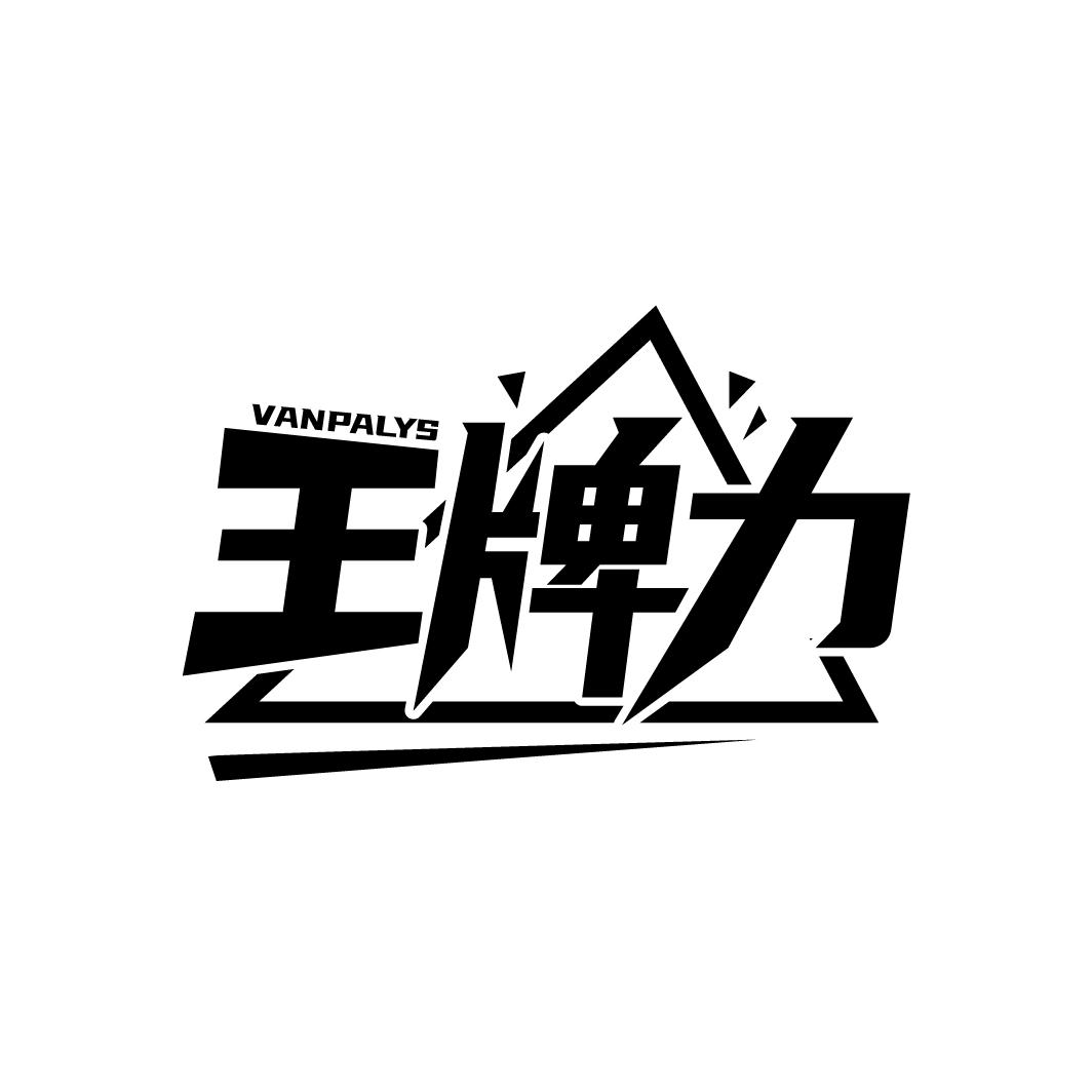 王牌力 VANPALYS