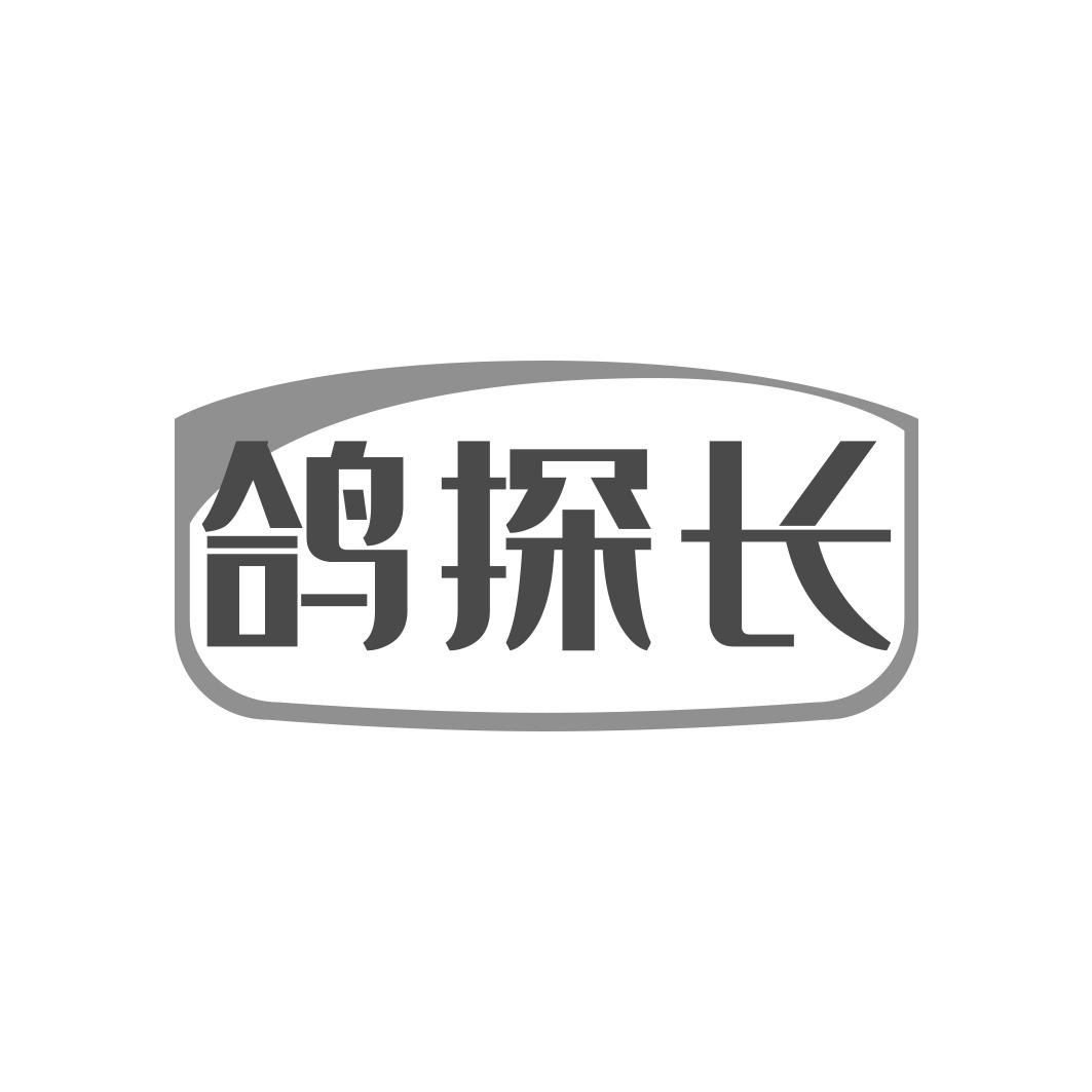 鸽探长