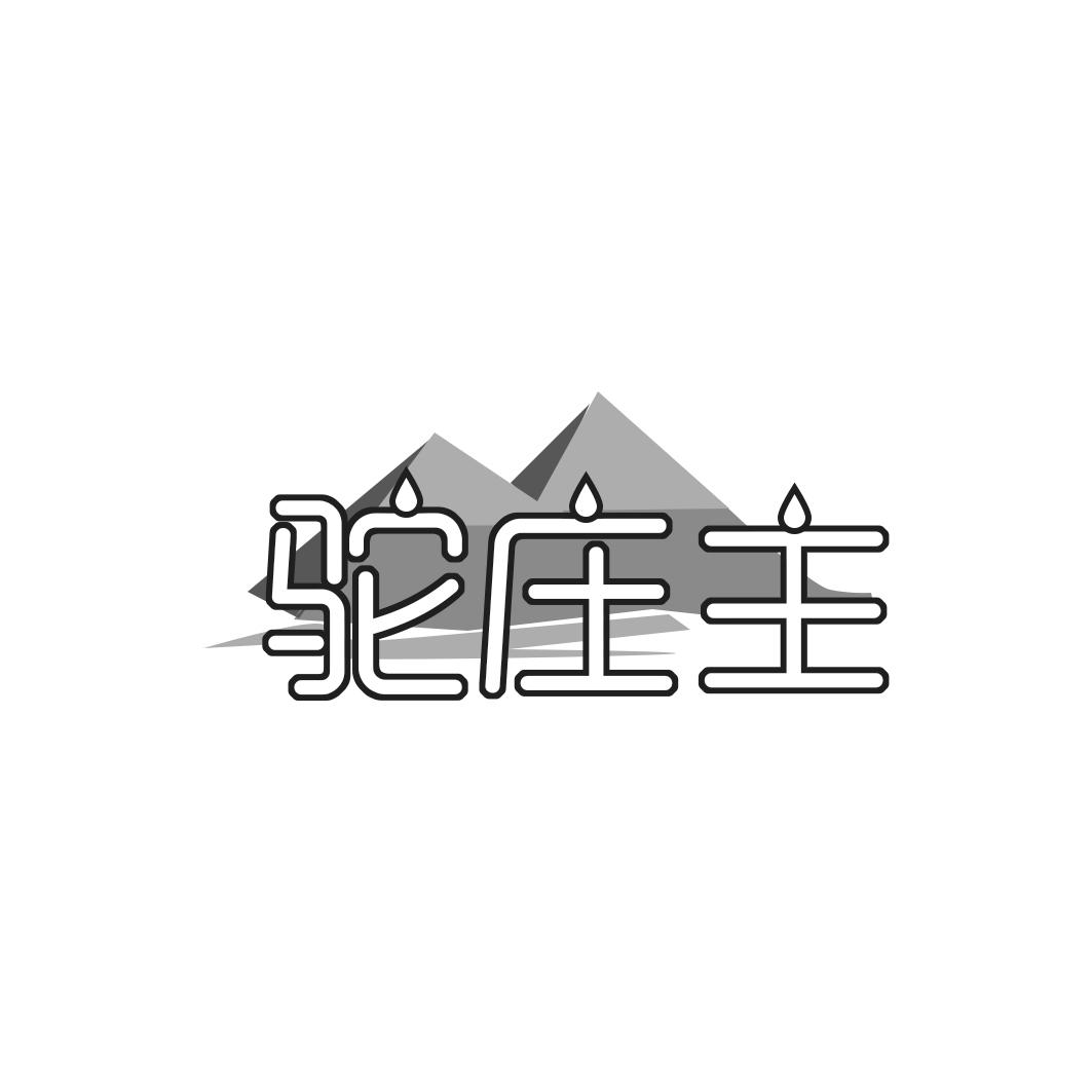 驼庄主