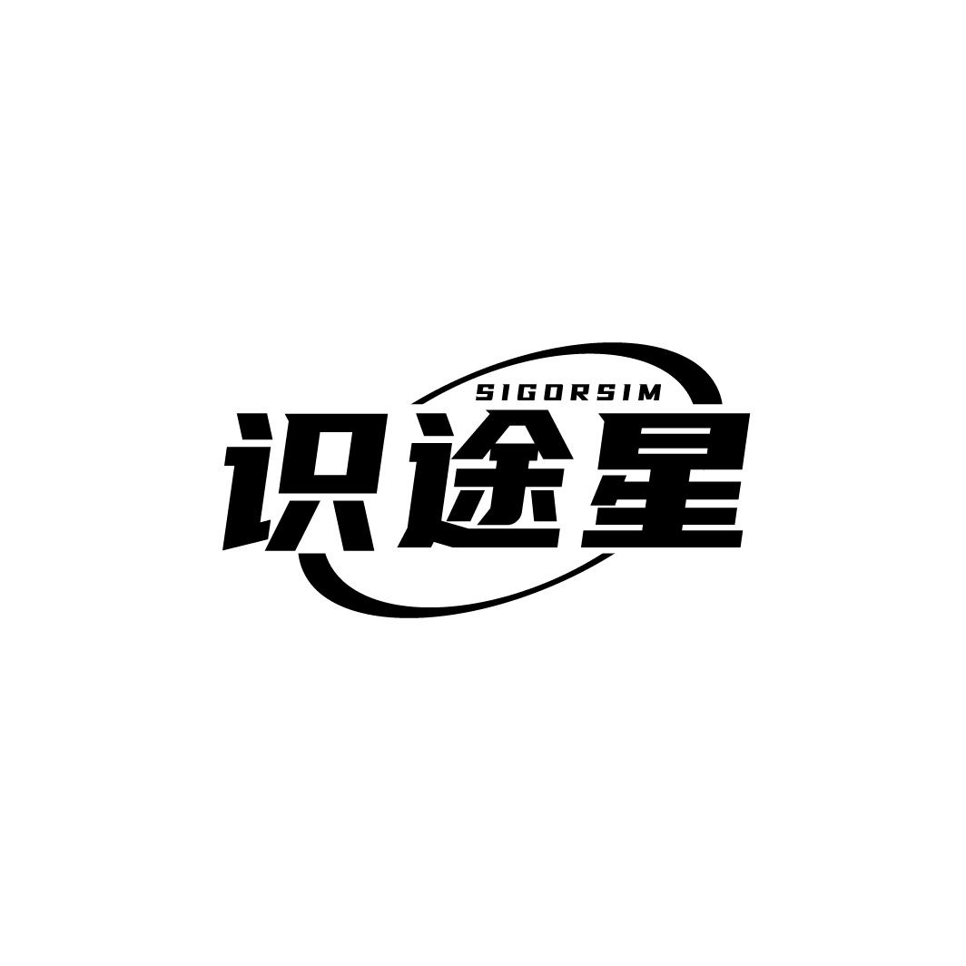 识途星
SIGORSIM