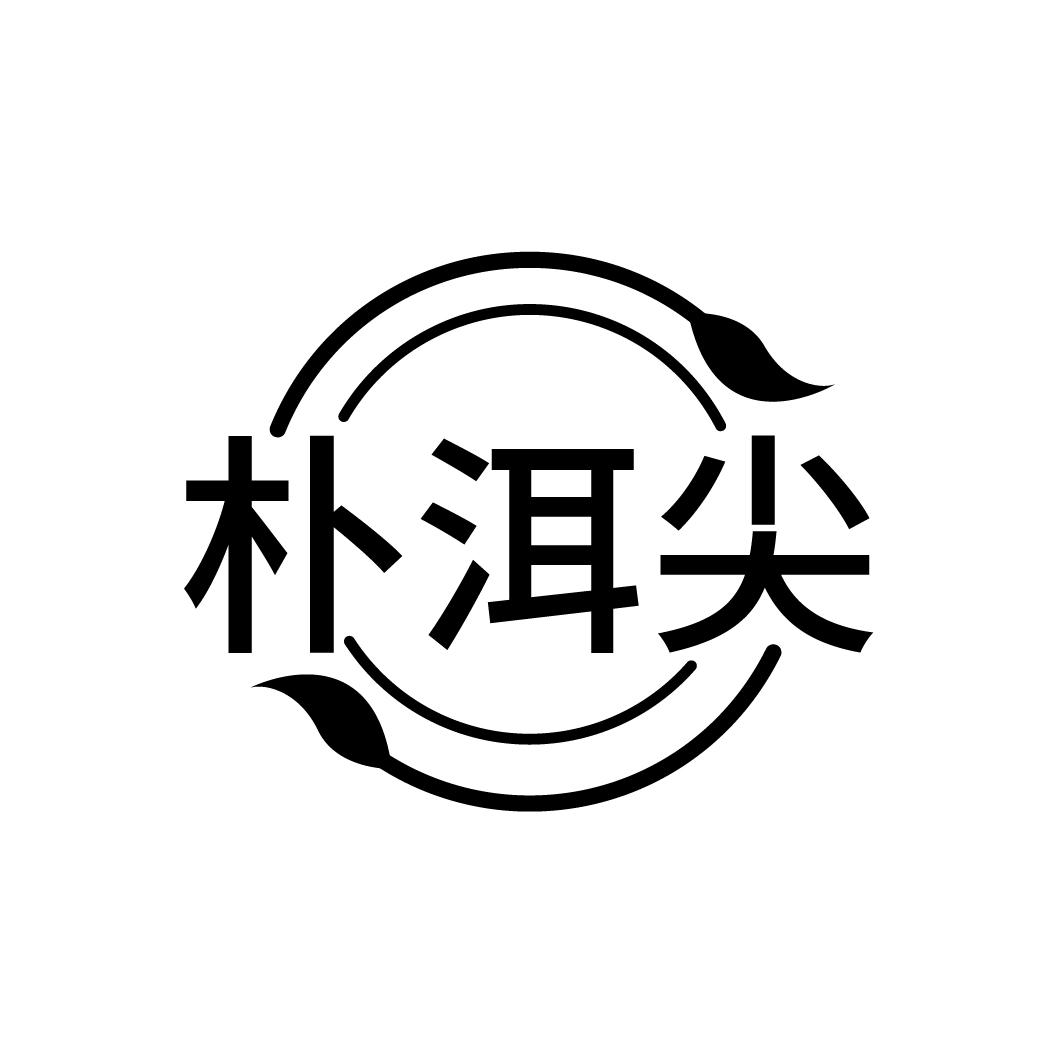 朴洱尖