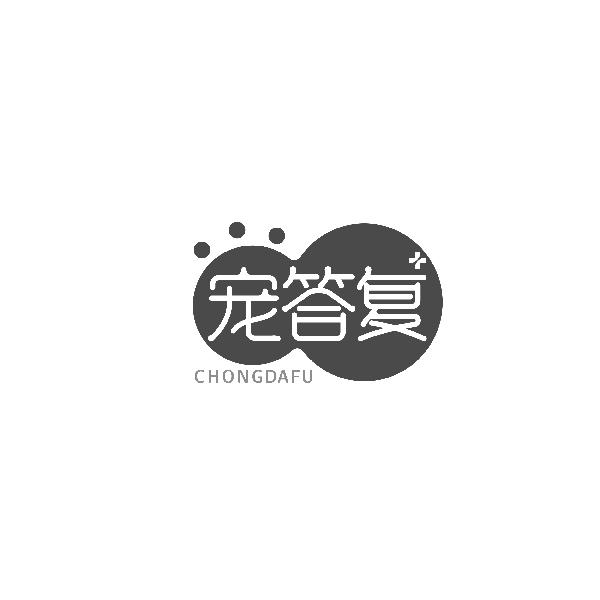 宠答复CHONGDAFU