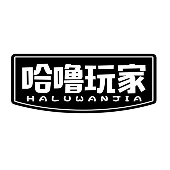 哈噜玩家
