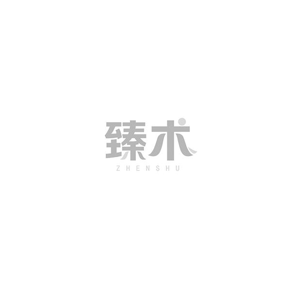 臻术