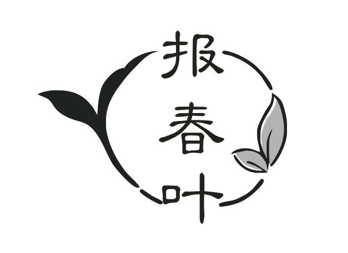 报春叶