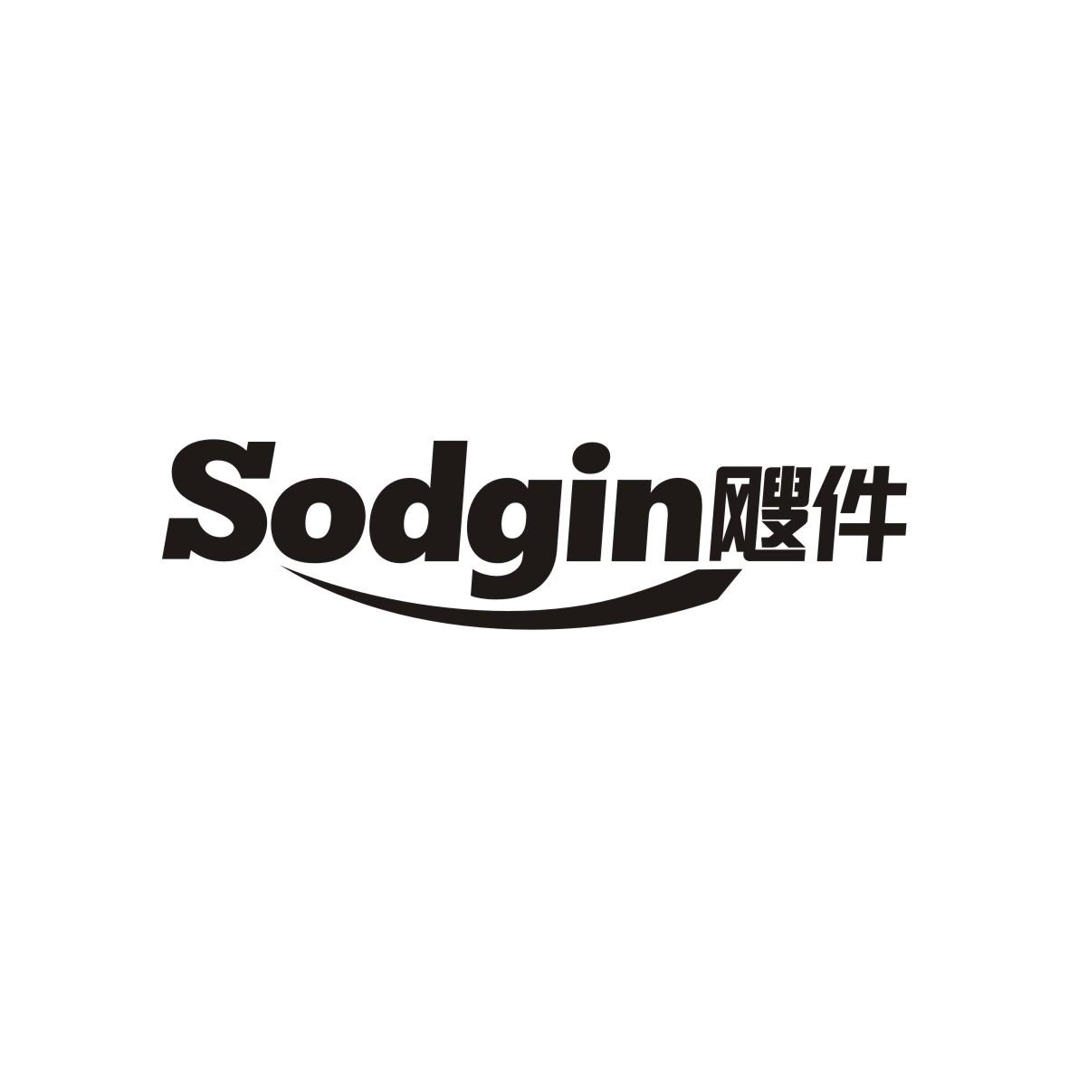 飕件
Sodgin