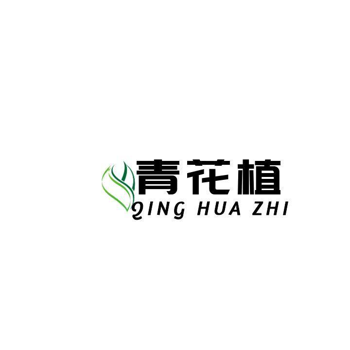 青花植