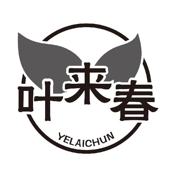 叶来春YELAICHUN