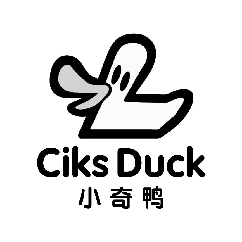 小奇鸭
CIKSDUCK