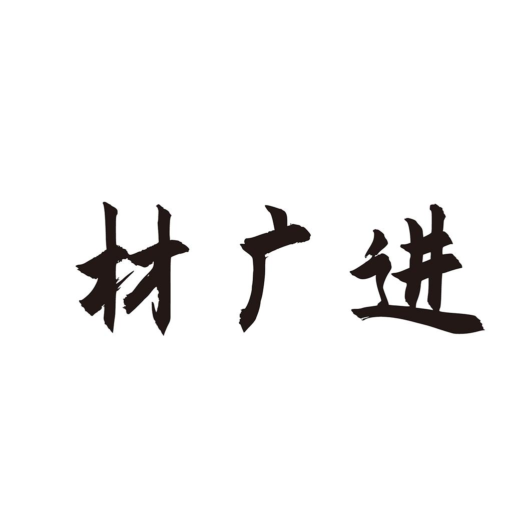 材广进