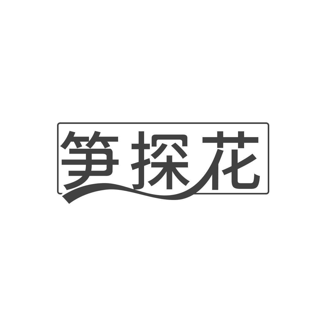 笋探花
