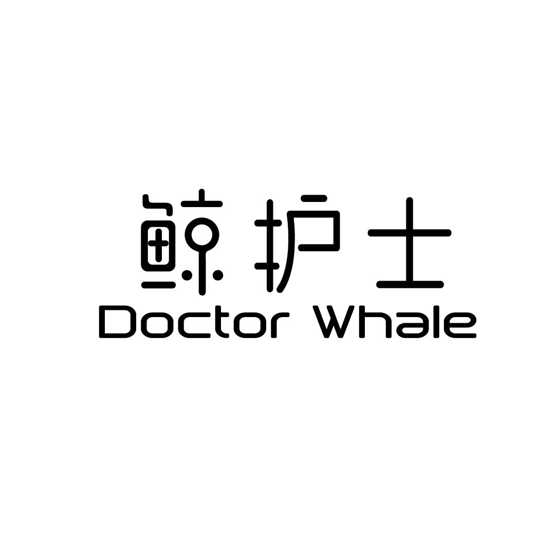 鲸护士 DOCTOR WHALE