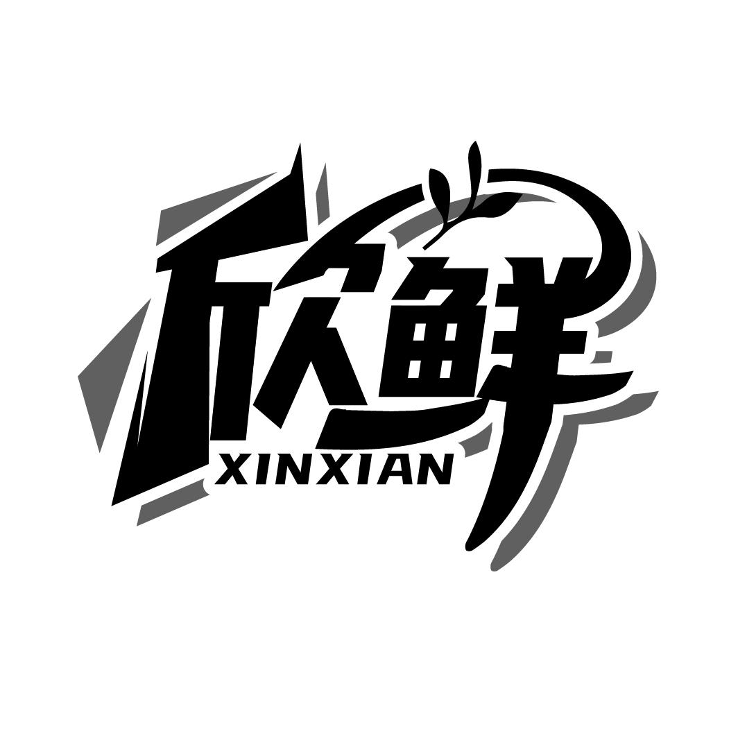 欣鲜
XINXIAN