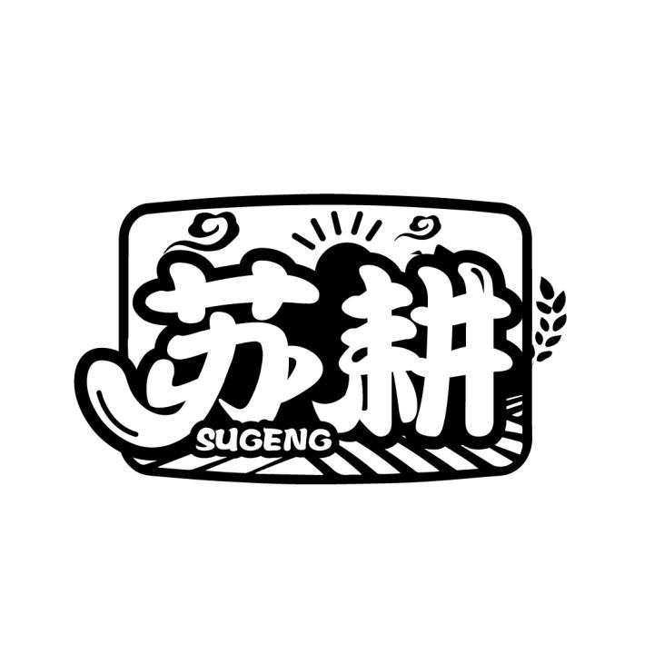 苏耕
SUGENG