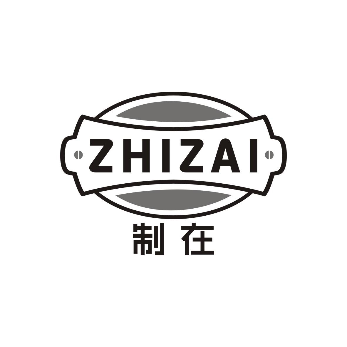 制在     ZHIZAI