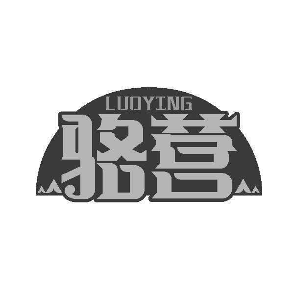 骆营LUOYING