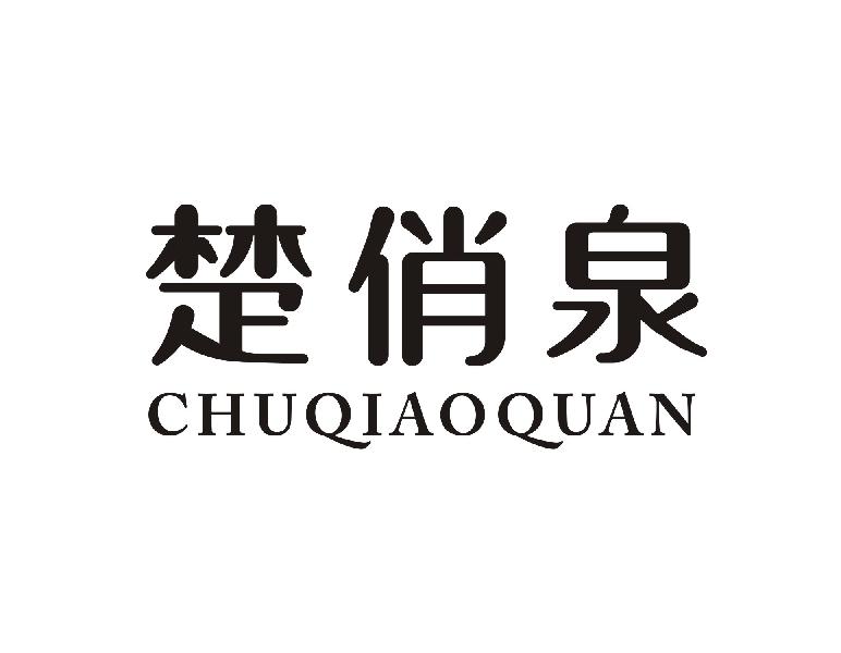 楚俏泉