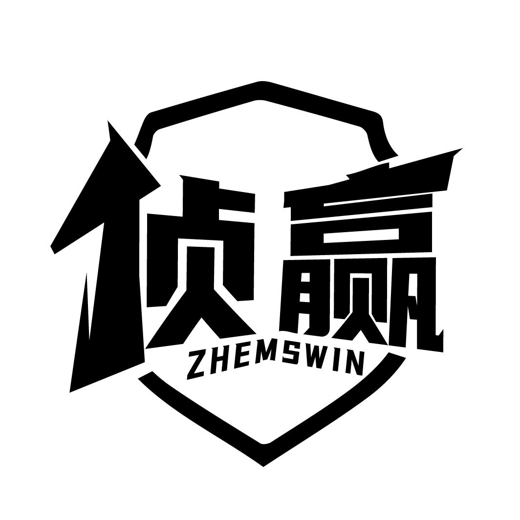 侦赢
ZHEMSWIN