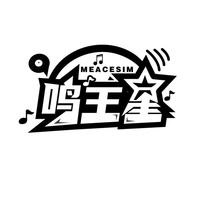鸣王星
MEACESIM