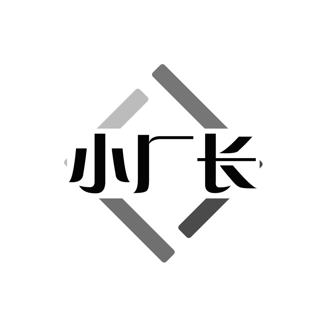 小厂长