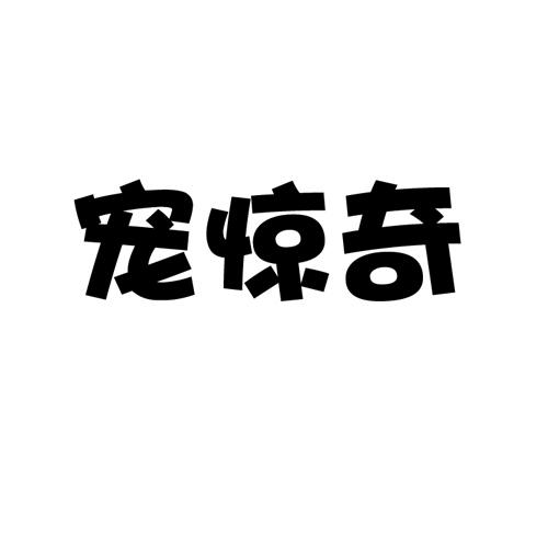 宠惊奇
