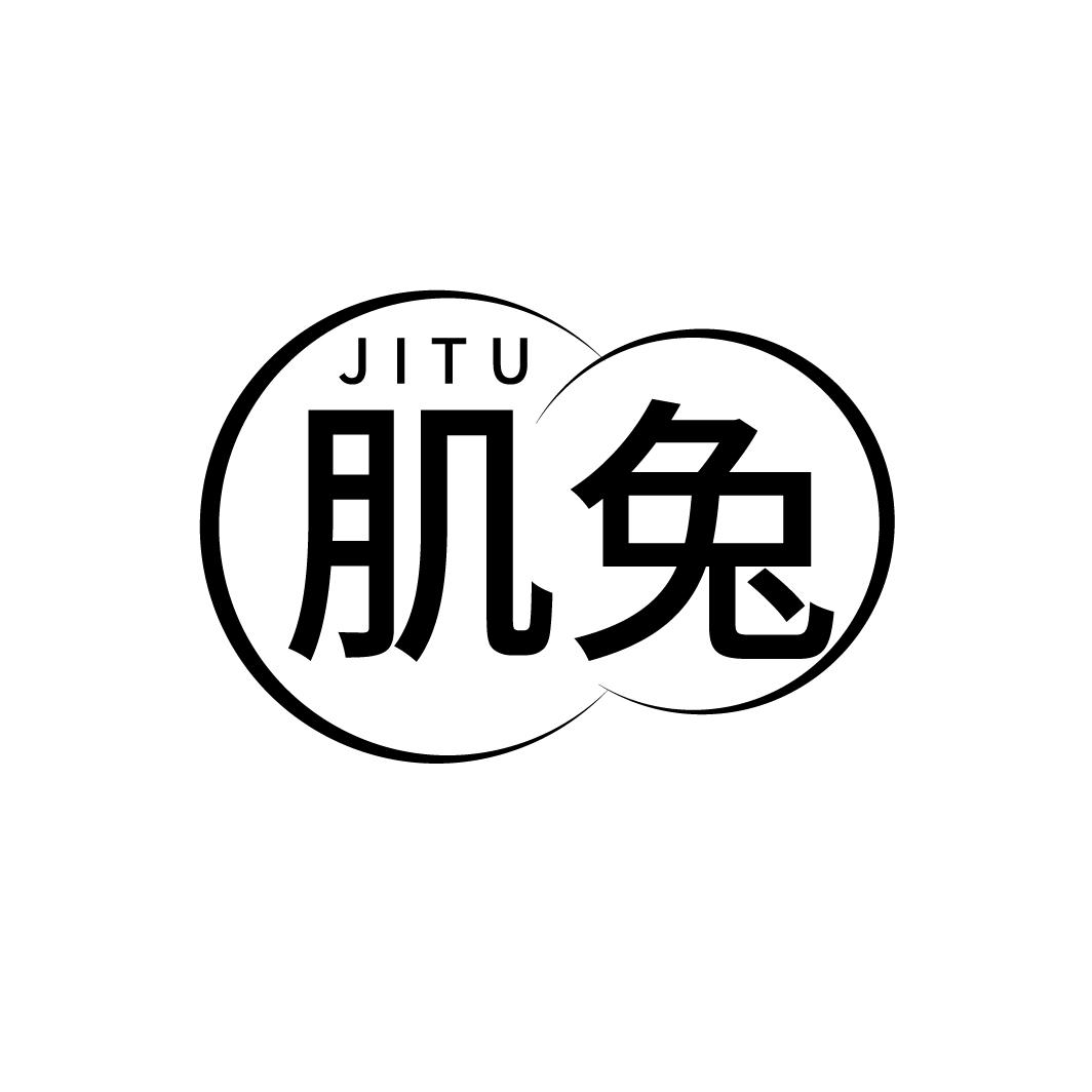 肌兔
JITU