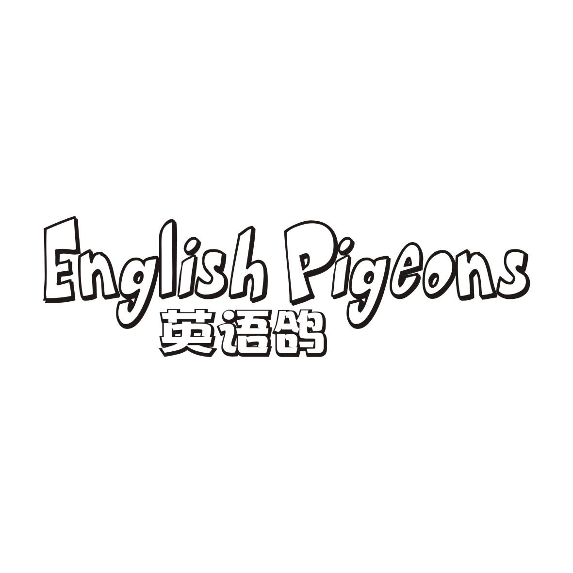 英语鸽ENGLISH PIGEONS