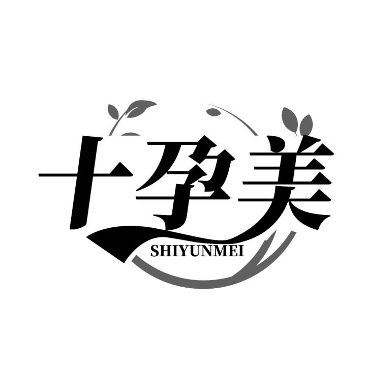 十孕美
SHIYNNJIA