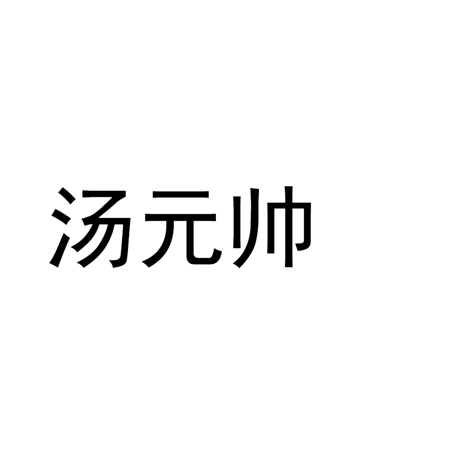汤元帅