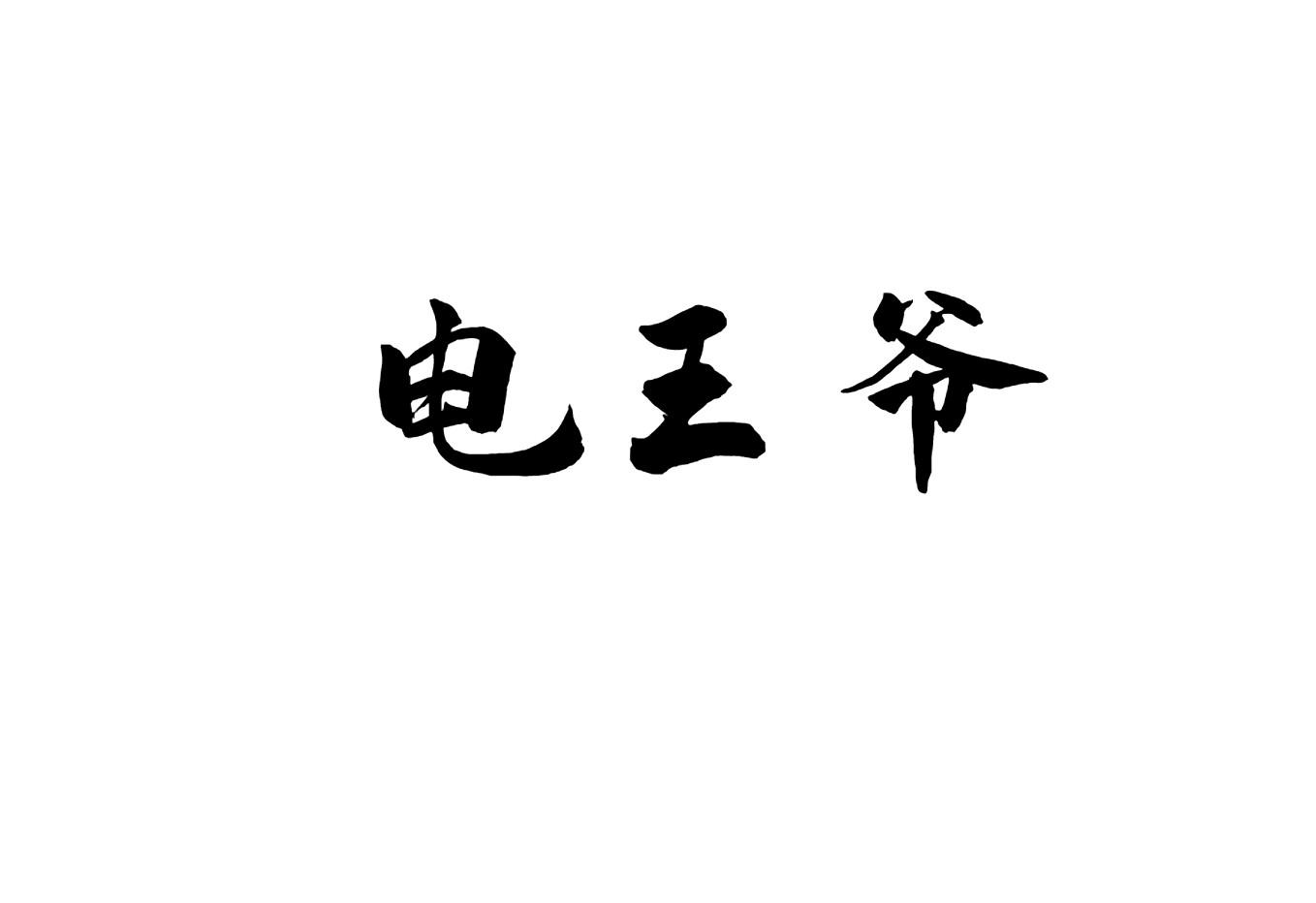 电王爷