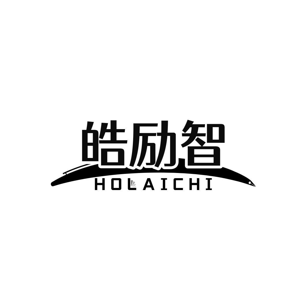 皓励智HOLAICHI