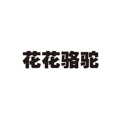 花花骆驼