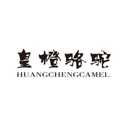 皇橙骆驼 HUANGCHENGCAMEL