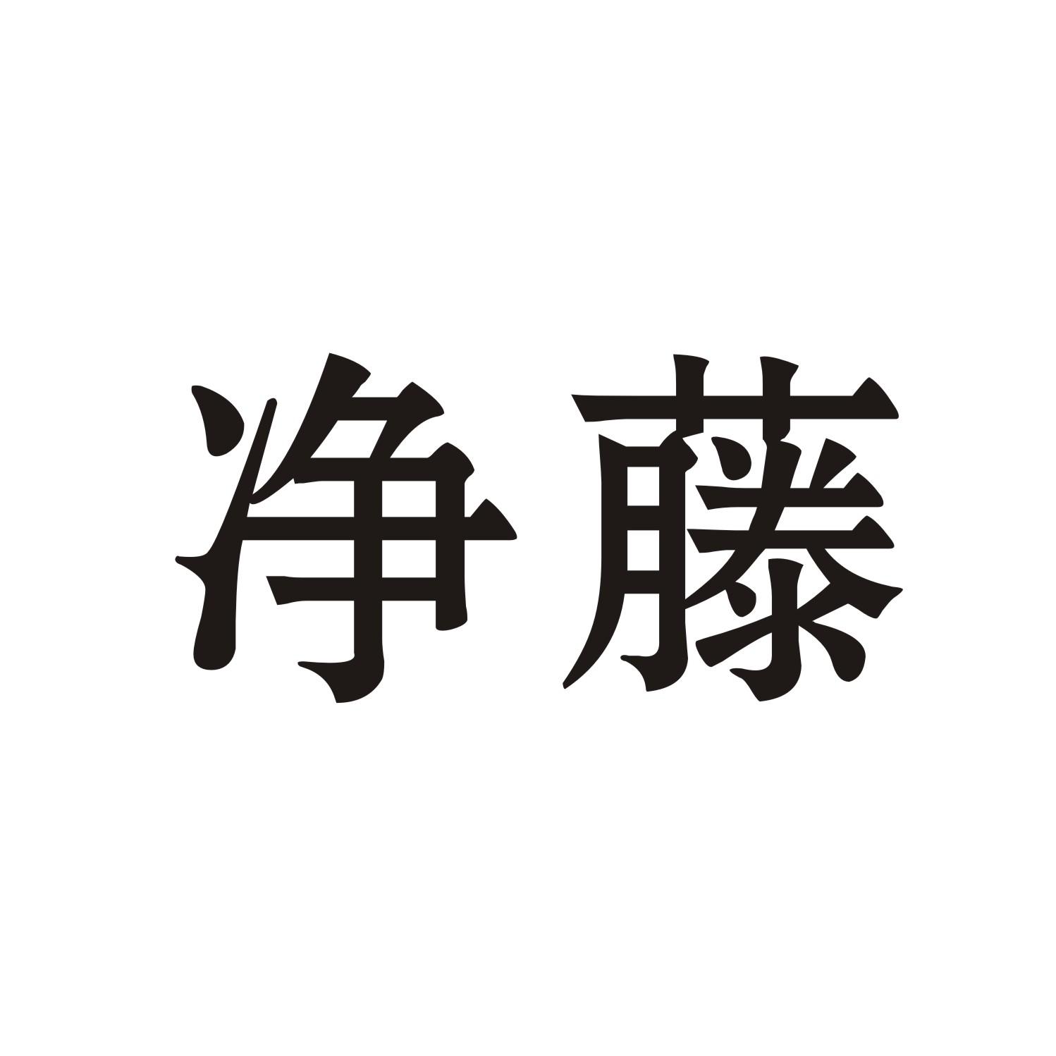 净藤