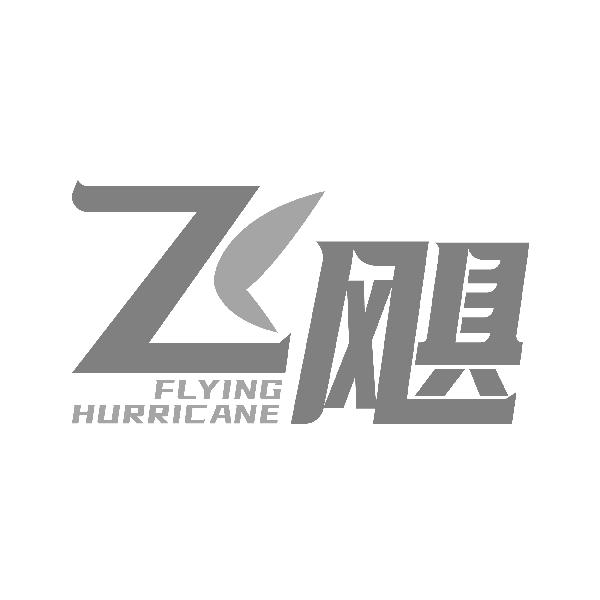 飞飓FLYING HURRICANE
