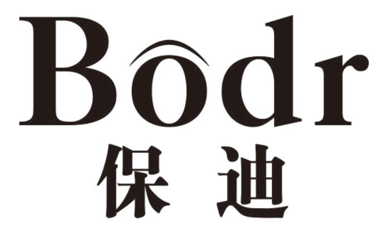 保迪 BODR