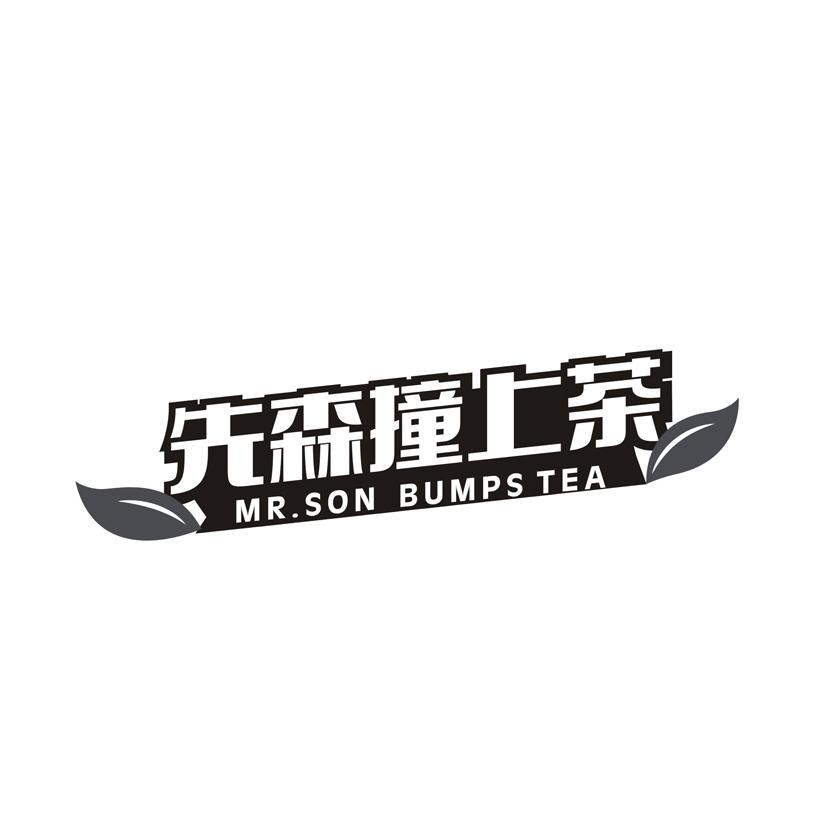 先森撞上茶 MR.SON BUMPS TEA