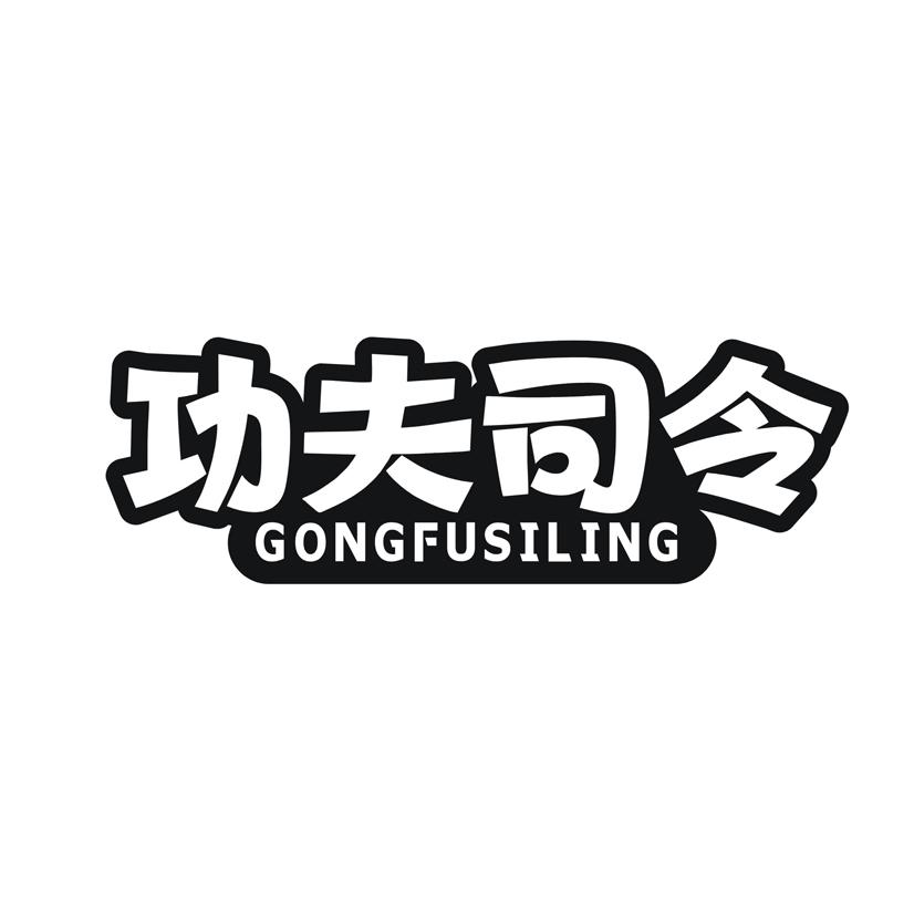 功夫司令