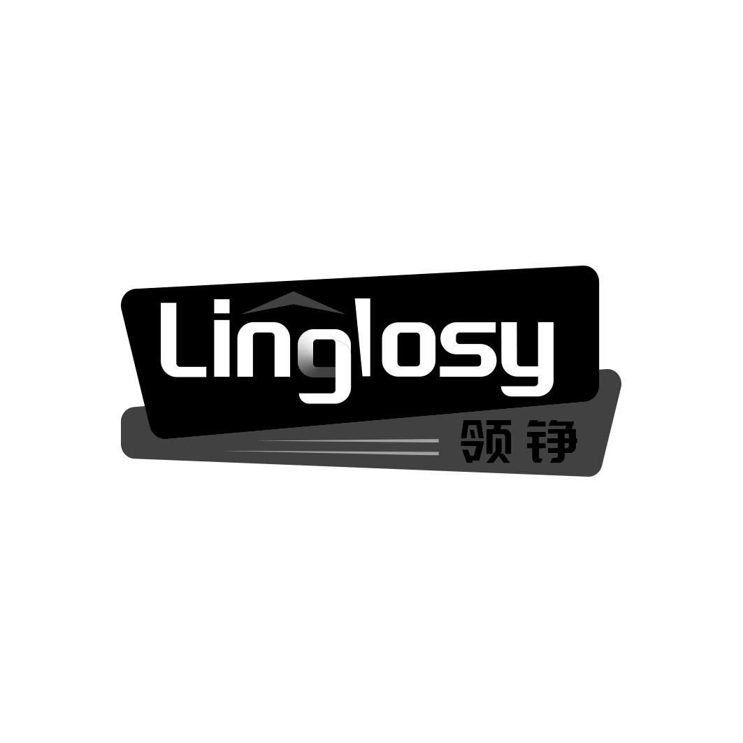 领铮 LINGLOSY