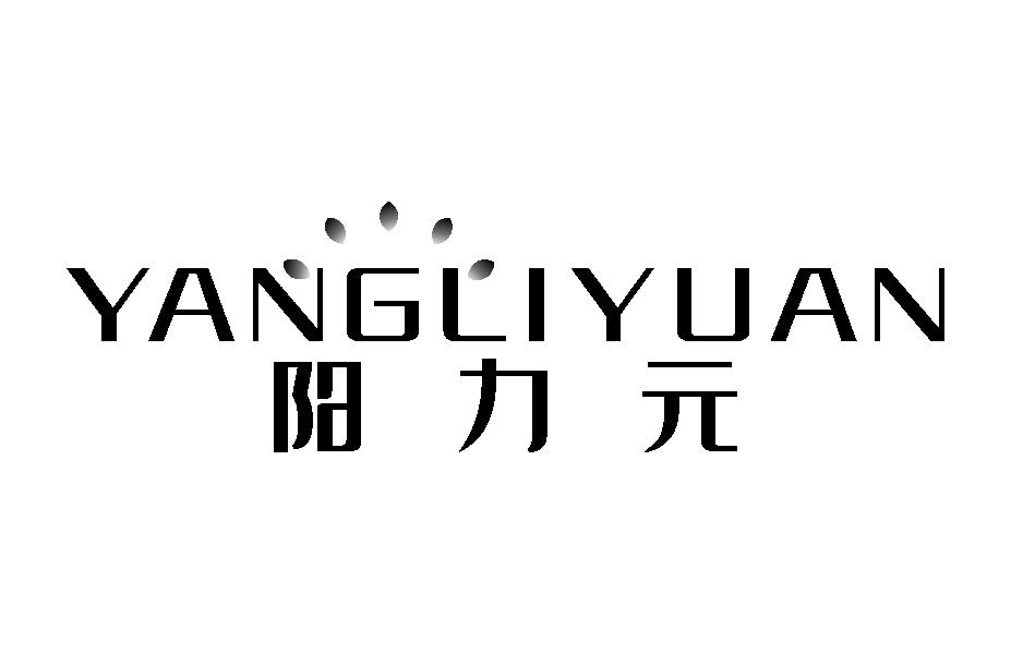阳力元