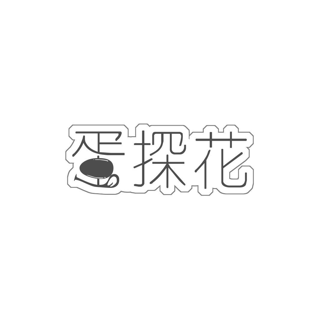 蛋探花